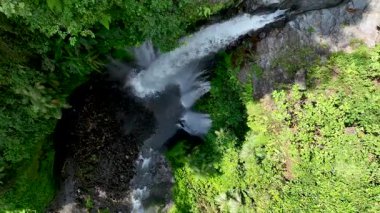 Tiu Kelep şelalesinin Lombok 'taki yemyeşil tropikal yeşillikte batışını gösteren hava manzarası. Güçlü şelale, canlı orman yapraklarıyla çevrili sisli bir manzara yaratır..