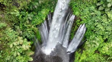 Lombok 'taki Tiu Kelep şelalesinin çarpıcı hava perspektifi, aşağıdaki karanlık bir havuza, palmiye ağaçları ve yoğun bitki örtüsüyle çarpıyor..