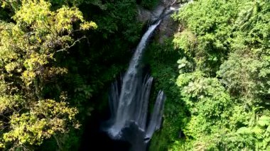 Lombok 'taki Tiu Kelep şelalesi canlı yağmur ormanlarıyla çevrili, yukarıdan ele geçirildi. Su, bu doğal harikanın dokunulmamış güzelliğini vurgulayarak karanlık bir havuza düşer..