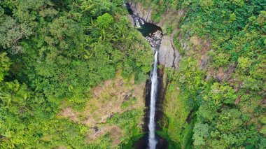 Madakaripura Şelalesi 'nin güçlü akıntısı dalgalı yağmur ormanlarıyla çevrili sarp kayalıklardan aşağı süzülür. Doğa bu tenha Endonezya cennetinde muhteşem bir sahne yaratıyor..