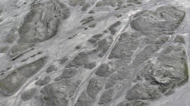 Küçük bitki örtüleriyle kaplı çorak bir alan volkanik aktivitenin ham sonuçlarını ortaya çıkarır. Kül dolu zemin ve dağınık yeşil tomurcuklar sert koşullarda dayanıklılığı vurgular..