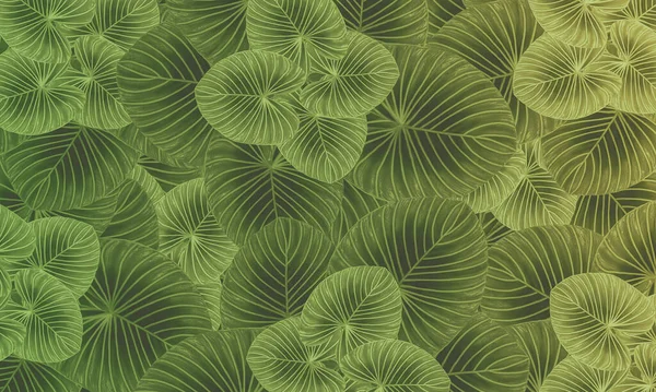 Groene Tropische Bladeren Patroon Abstracte Lente Natuur Behang Ontwerp Achtergrond — Stockfoto