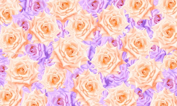 Барвистий Квітковий Візерунок Троянди — стокове фото