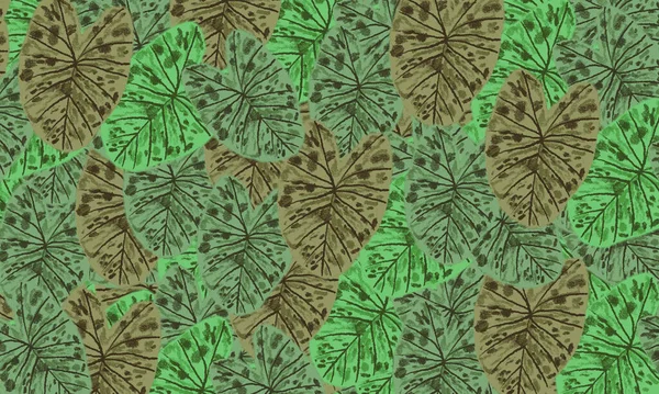 Grüne Tropische Blätter Frischen Frühling Entspannen Natur Tapete Hintergrund — Stockfoto