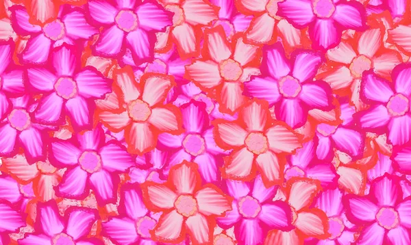 Tropik Pembe Çöl Çiçeği Desenli Bahar Duvar Kağıdı Arka Planı — Stok fotoğraf