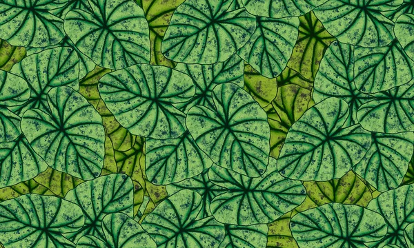 Πολύχρωμα Τροπικά Πράσινα Φύλλα Άνοιξη Φύση Φόντο Χέρι Που — Φωτογραφία Αρχείου