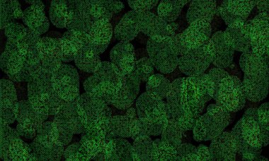 siyah ve yeşil nokta arkaplanı 