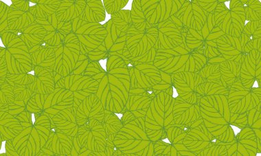 Yeşil tropik yapraklar, bahar doğası duvar kağıdı arka planı