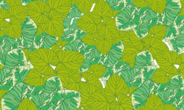 Renkli tropikal yapraklar bahar doğası duvar kağıdı arka planı