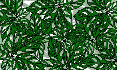 Renkli tropikal yapraklar bahar doğası duvar kağıdı arka planı