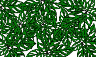 Renkli tropikal yapraklar bahar doğası duvar kağıdı arka planı