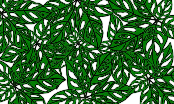 Renkli tropikal yapraklar bahar doğası duvar kağıdı arka planı