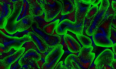 yeşil, mavi koyu ve kırmızı daire şekilli arkaplan tasarımının parlak rengi