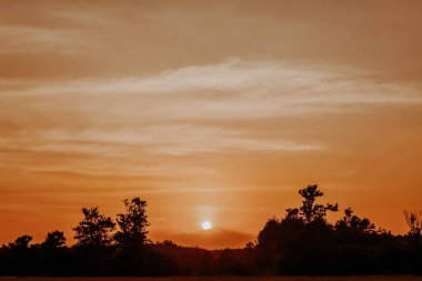 günbatımı kahverengi arkaplan ve ipeksi ağaç 