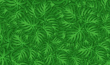 Yeşil tropik yapraklar, bahar doğası duvar kağıdı arka planı