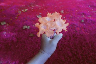 Mor çimenli portakal çiçeği ve soyut bahar arkaplan tasarımı.