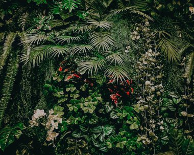 Yapay tropik bitkiler duvarları süslüyor.