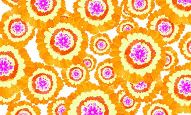 sarı kozmos çiçek desenli duvar kağıdı arkaplanı