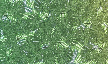 Renkli tropikal bitki bahar doğası duvar kağıdı arkaplanını terk eder