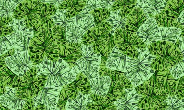 Yeşil tropik yapraklar, bahar doğası duvar kağıdı arka planı