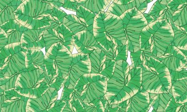 Yeşil tropik yapraklar, bahar doğası duvar kağıdı arka planı