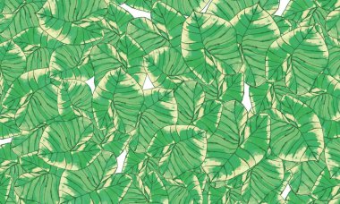 Yeşil tropik yapraklar, bahar doğası duvar kağıdı arka planı
