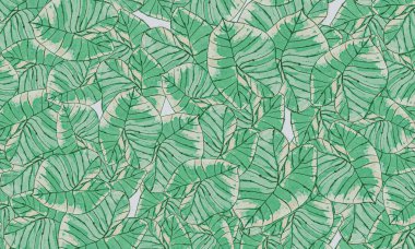 Yeşil tropik yapraklar, bahar doğası duvar kağıdı arka planı