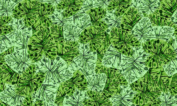 Yeşil tropik yapraklar, bahar doğası duvar kağıdı arka planı