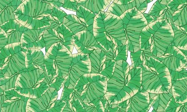 Yeşil tropik yapraklar, bahar doğası duvar kağıdı arka planı