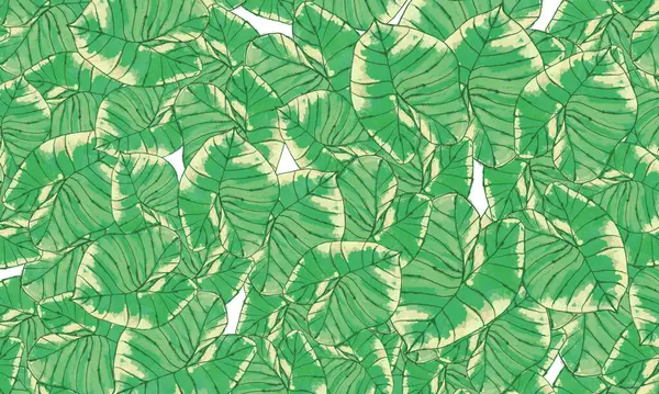 Yeşil tropik yapraklar, bahar doğası duvar kağıdı arka planı