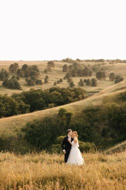 Sarı otların arasında, tepelerin arkasında romantik bir çift. Yüksek kalite fotoğraf