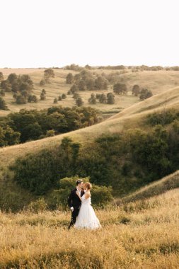 Sarı otların arasında, tepelerin arkasında romantik bir çift. Yüksek kalite fotoğraf