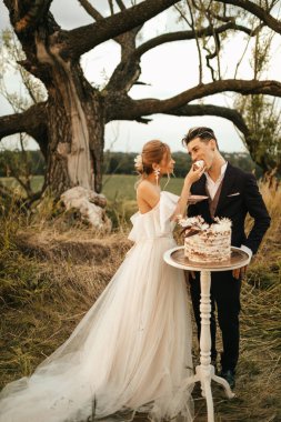 Düğün gelenekleri, yeni evliler düğün pastası yer. Yüksek kalite fotoğraf