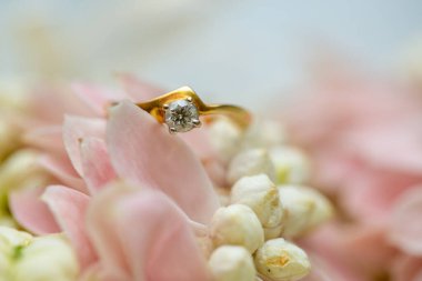 Altın yüzük, alyans, çiçeklerdeki elmas yüzük..