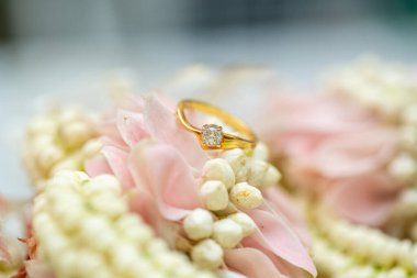 Altın yüzük, alyans, çiçeklerdeki elmas yüzük..