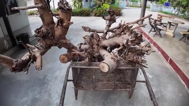 Punto Vista Carro Con Legna Ardere Sulla Strada Cementizia Thailandia — Video Stock