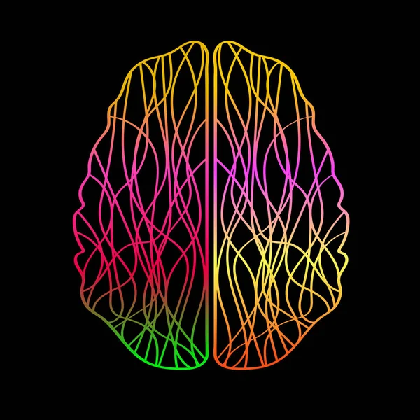 Abstrato Cérebro Humano Listras Coloridas Linhas Ilustração Vetorial —  Vetores de Stock