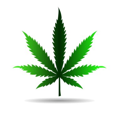Beyaz üzerinde gölgesi olan kenevir yaprağı. Vektör illüstrasyonu
