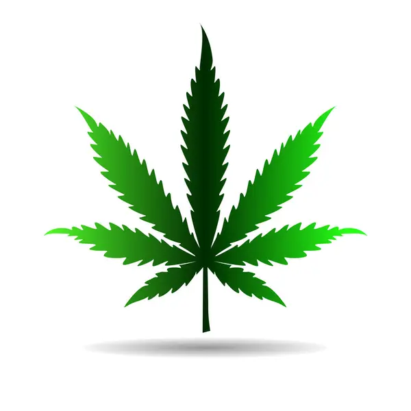 Hoja Cannabis Con Sombra Aislada Sobre Blanco Ilustración Vectorial Ilustración de stock