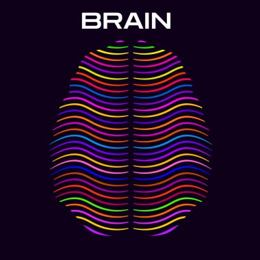 Renkli çizgilerden oluşan soyut insan beyni. Vektör illüstrasyonu
