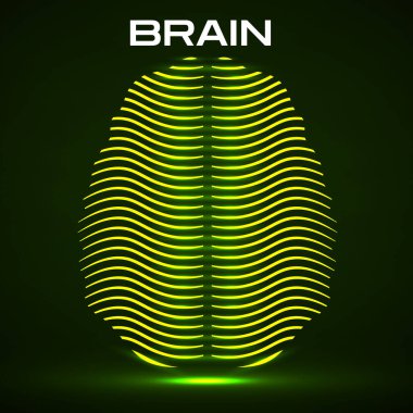 Renkli çizgilerden oluşan soyut insan beyni. Vektör illüstrasyonu