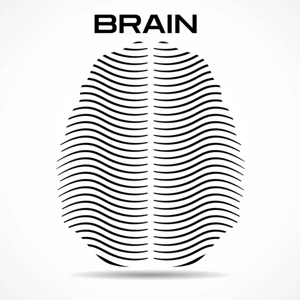 Çizgilerin soyut insan beyni. Vektör illüstrasyonu