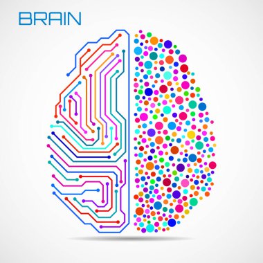 Sol sağ insan beyni konsepti. Mantıksal kısım ve yaratıcı kısım, analitik yaratıcılığa karşı