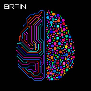 Sol sağ insan beyni konsepti. Mantıksal kısım ve yaratıcı kısım, analitik yaratıcılığa karşı