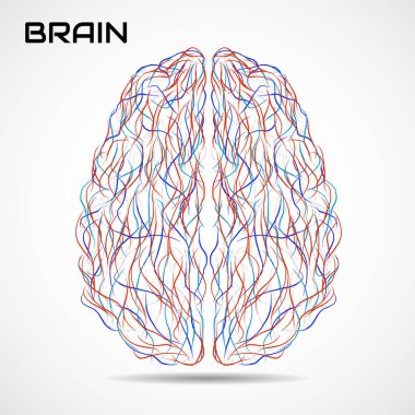 Boya darbeleriyle soyut yaratıcı beyin. Renkli vektör illüstrasyonu