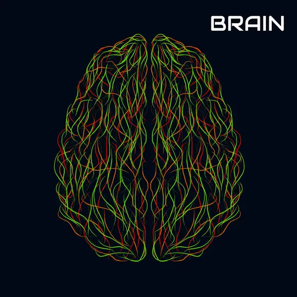 Boya darbeleriyle soyut yaratıcı beyin. Renkli vektör illüstrasyonu