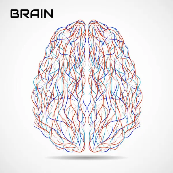 Boya darbeleriyle soyut yaratıcı beyin. Renkli vektör illüstrasyonu
