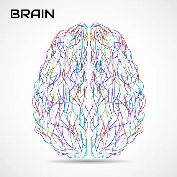 Boya darbeleriyle soyut yaratıcı beyin. Renkli vektör illüstrasyonu
