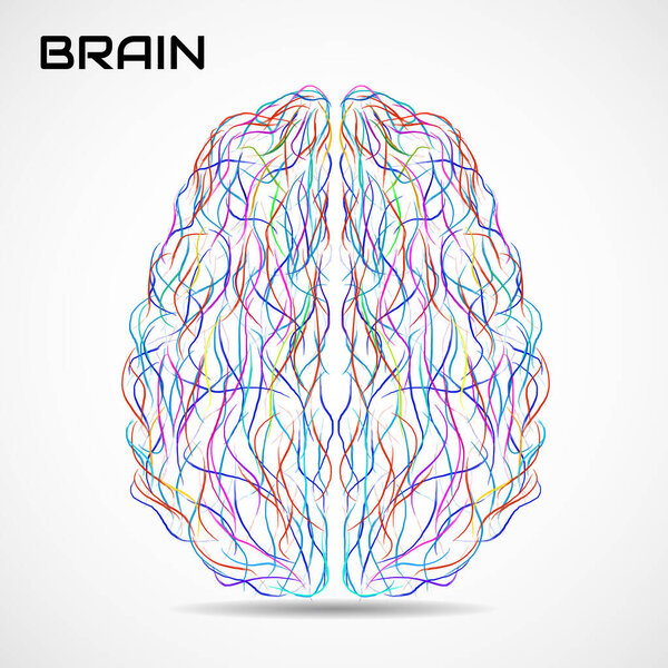 Абстрактный творческий мозг со штрихами краски. Красочная векторная иллюстрация