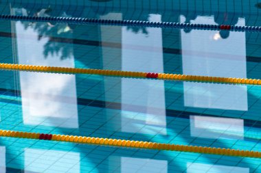 Yüzme havuzundaki çizgiler